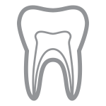 np_root-canal_888760_808285